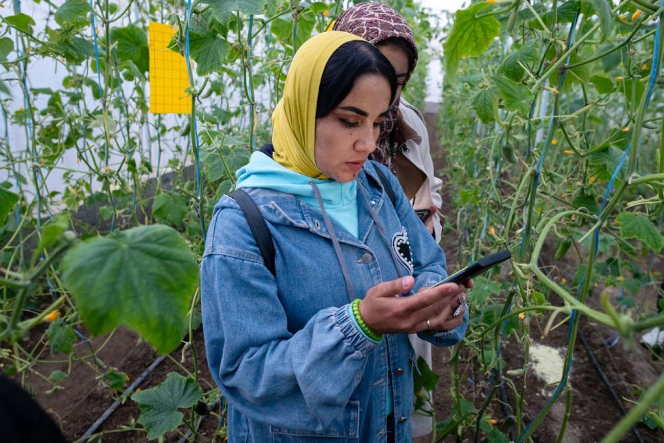 A woman uses a mobile device on a field filled with plants