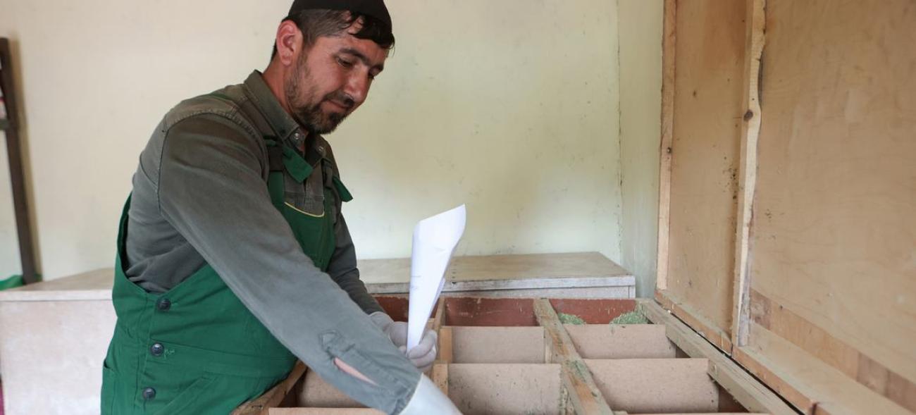 Мужчина перебирает засушенные травы