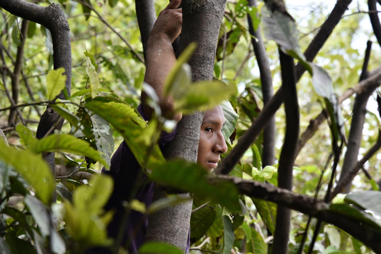 An Indigenous woman amidst the trees in Brazil.