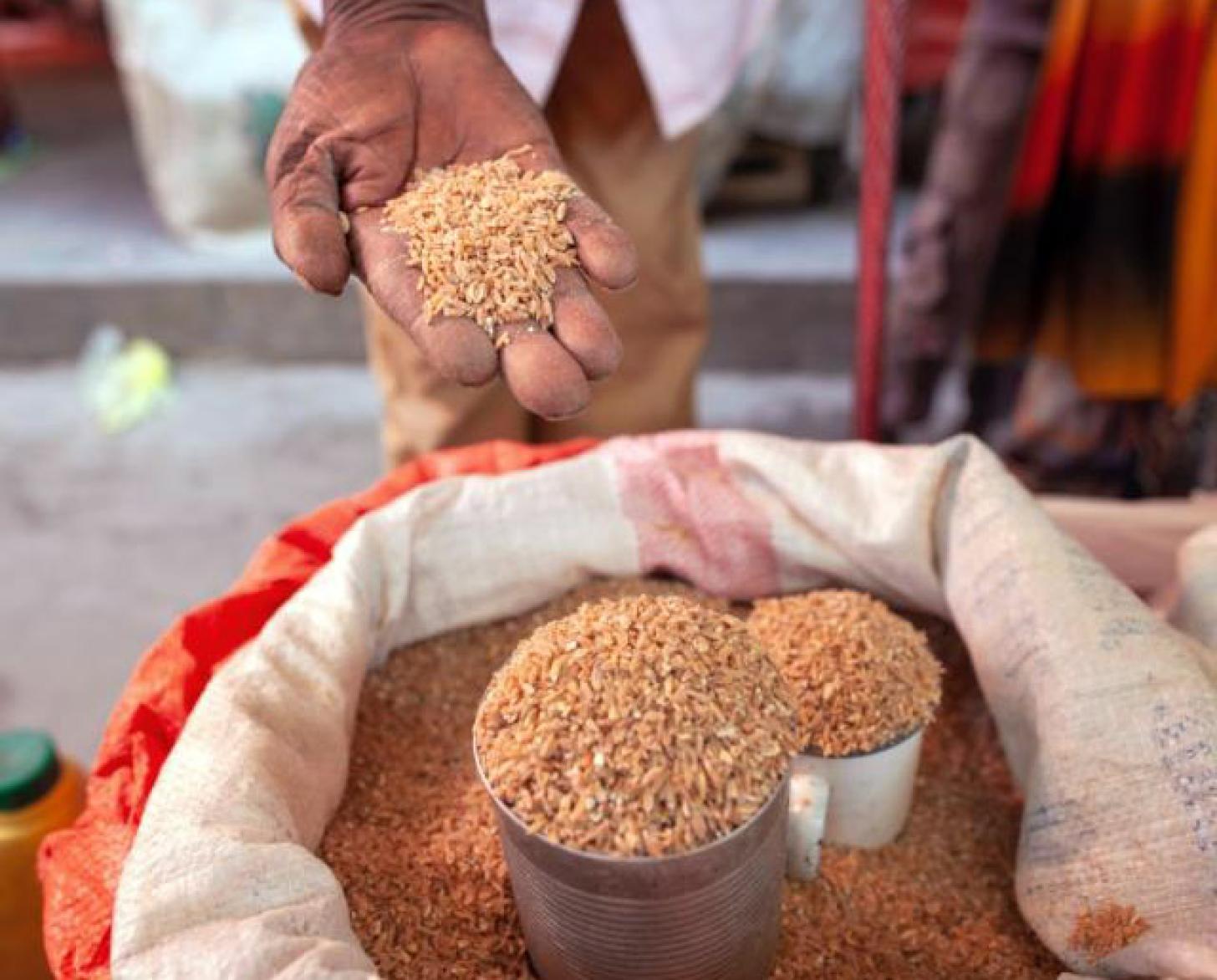 Image shows a large container of rice with two small contains on top filled with rice, and a hand just above them holding a scoop of rice directed at the camera.