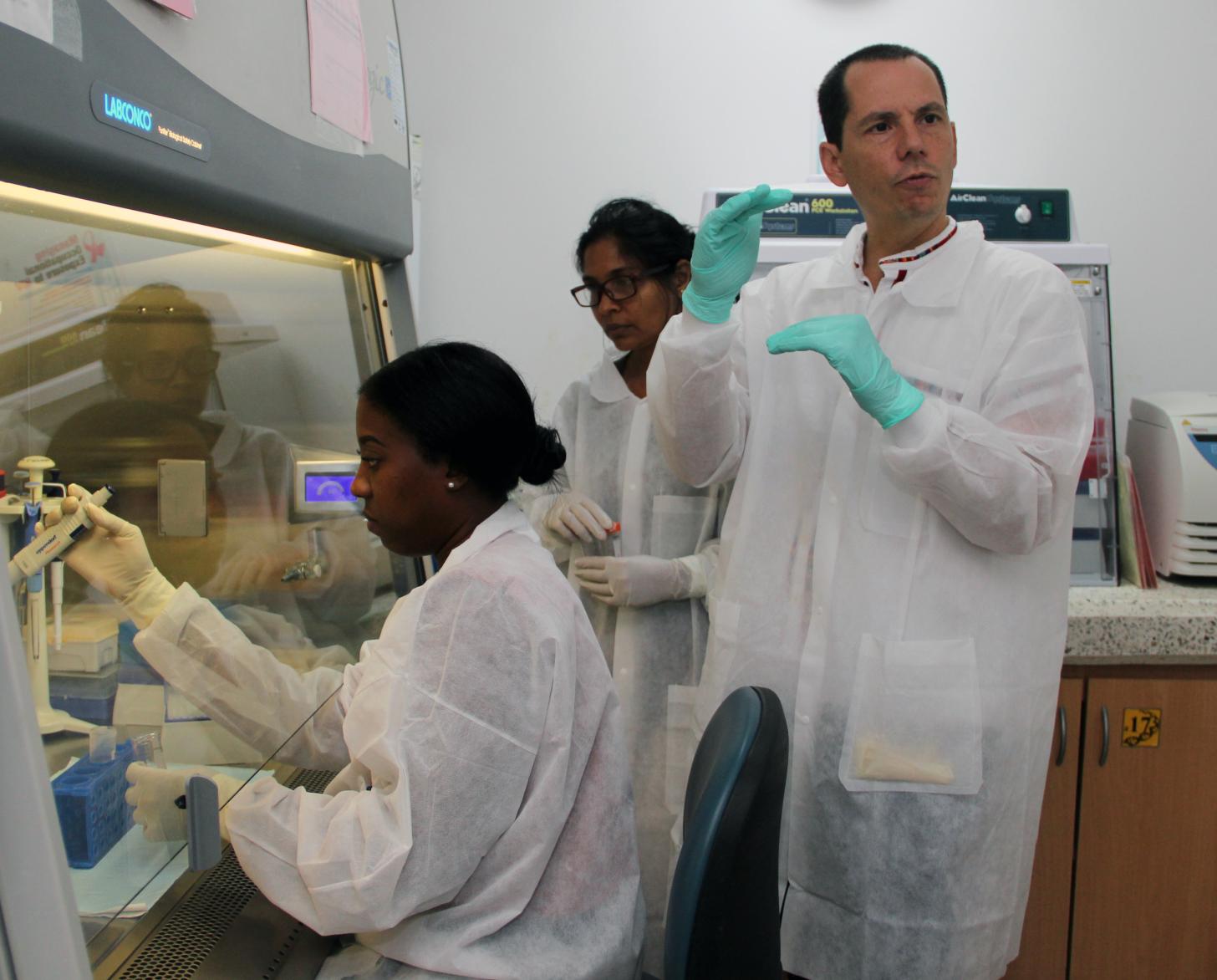 Formación por parte del especialista de laboratorio de la OPS/OMS para realizar las pruebas de COVID-19.