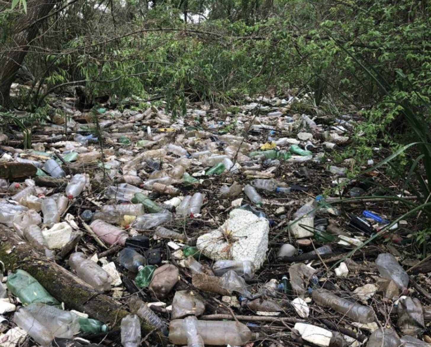 Una jungla con cientos de pedazos de desechos esparcidos por el suelo.