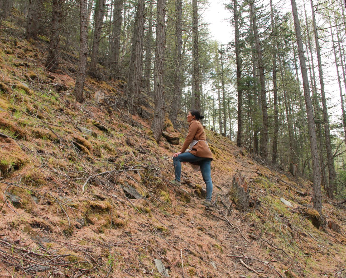 一个女人在山坡上行走，背后是高大的树木。