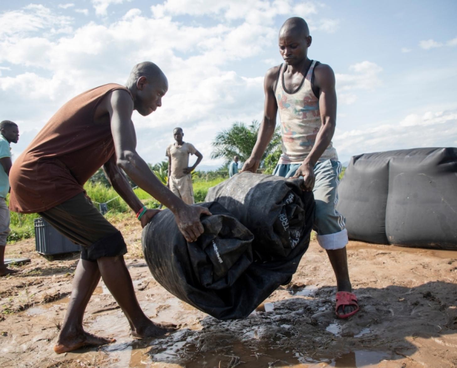 Au Burundi, par une journée ensoleillée, deux jeunes hommes soulèvent une grande bâche noire enroulée sur elle-même au milieu d'un terrain boueux, sous le regard de deux autres hommes se tenant à proximité.