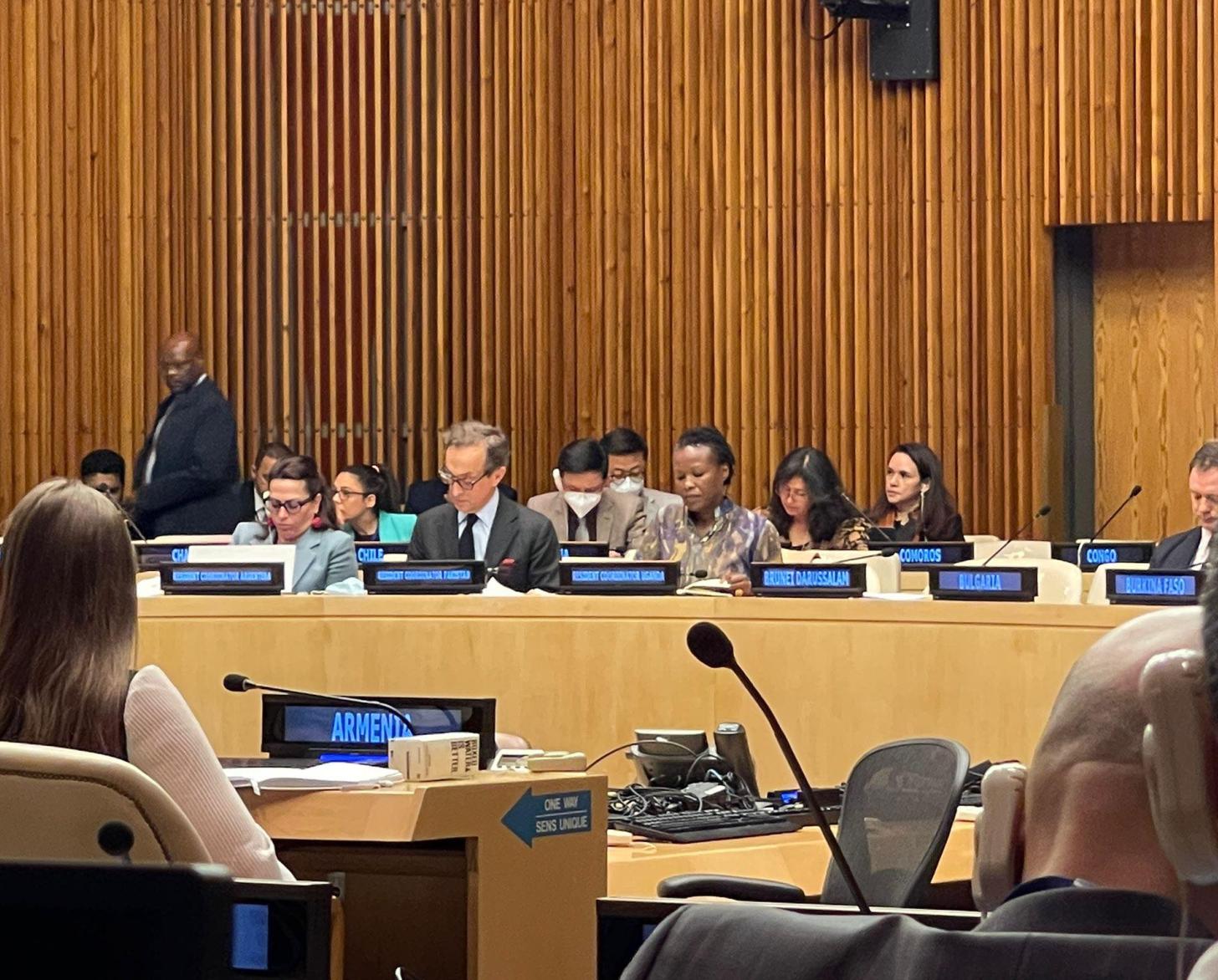 يجلس المنسقون المقيمون في غرفة المجلس الاقتصادي والاجتماعي للمشاركة في حوار مع ممثلي الدول الأعضاء.