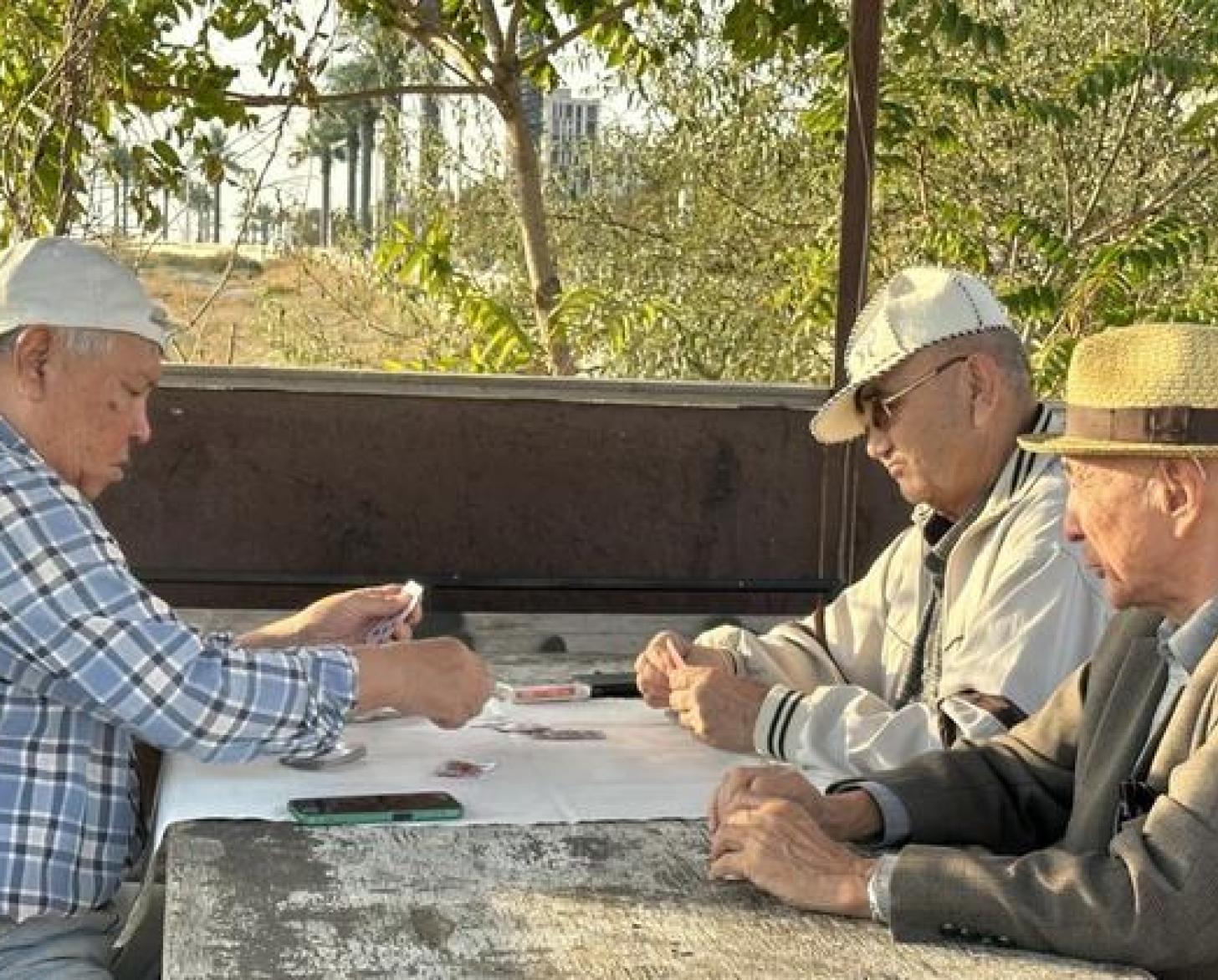 Трое пожилых мужчин играют в карты за столом солнечным днем