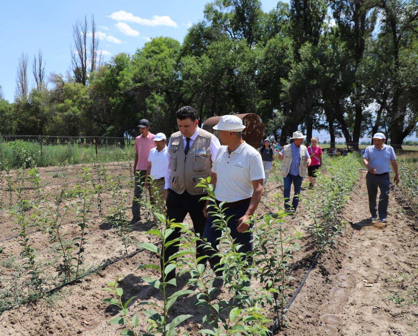 A group of people walking in a field talking to each other