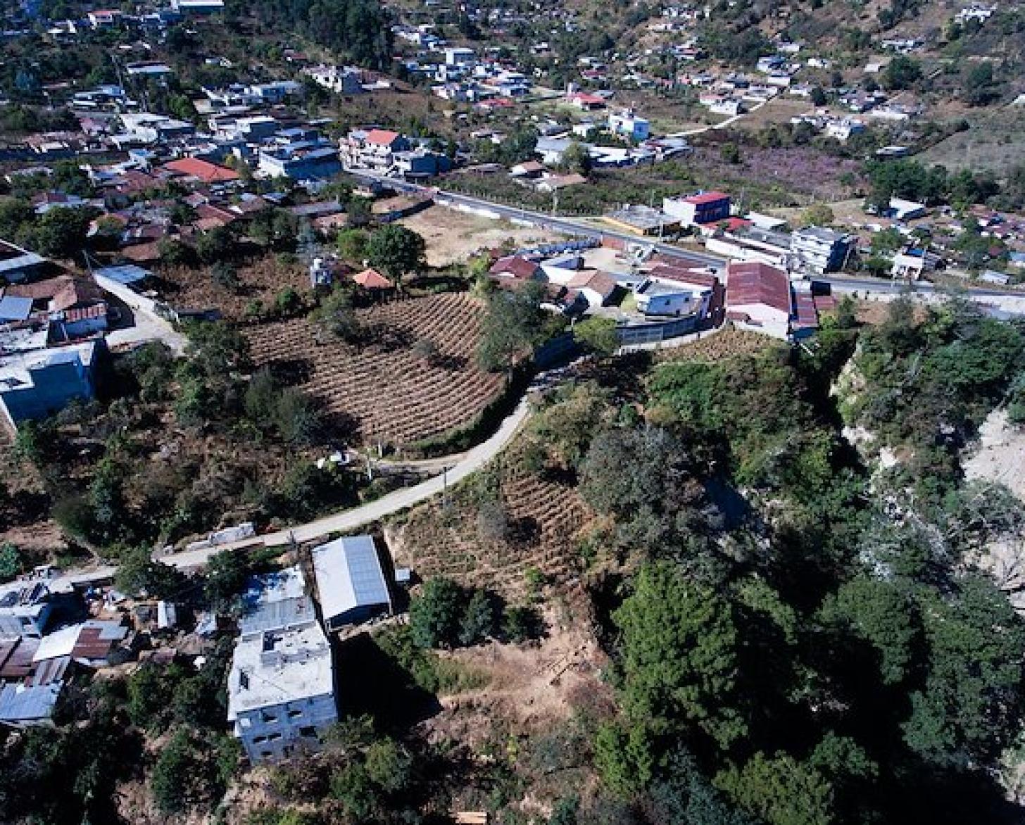 An aerial view of a city with greenery 