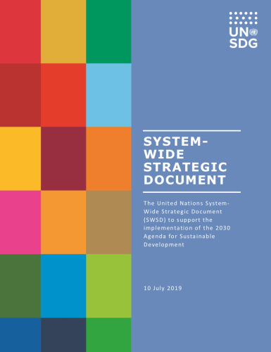 Cover shows "System-wide Strategic Document" title, description and date against a solid background with colour blocks to the right.