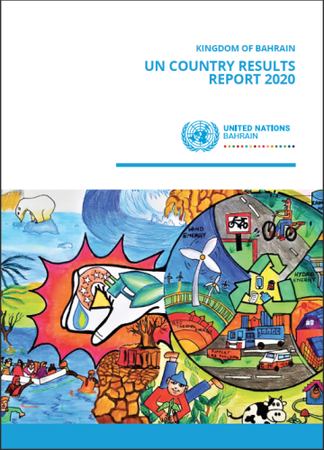 The cover shows the top half with the title and UNCT logo above a colouful animated drawing showing people living their daily life. 