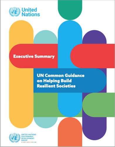 Cover has a white background with the SDG colours presented as elongated and curved oval shapes stretching across the entire cover, with the title positioned centered in front of one of the shapes.