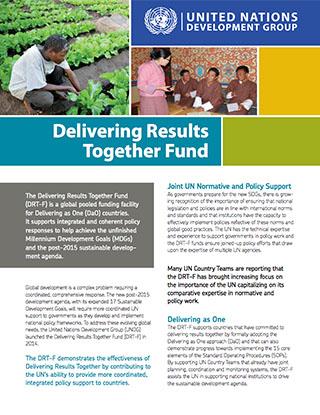 Folleto con un collage de fotografías, cuadros de colores sólidos, el logo en inglés del Grupo de las Naciones Unidas para el Desarrollo y párrafos de texto.