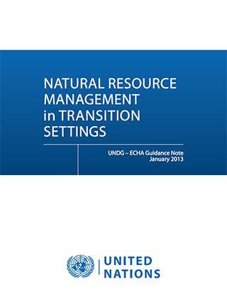 Portada del documento con fondo azul y blanco, y el logo de las Naciones Unidas.