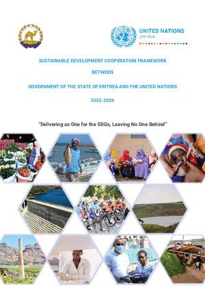 合作框架（或同等效力文件）