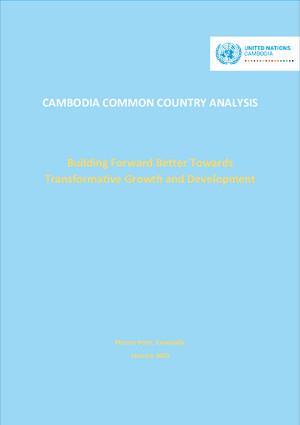 Общий страновой анализ