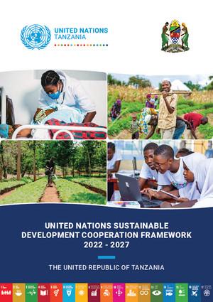 Cooperation Framework (or equivalent)