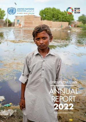 Годовые отчеты страновых команд