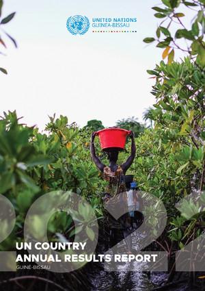 Годовые отчеты страновых команд