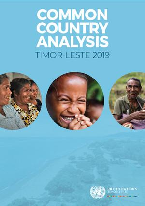 Общий страновой анализ