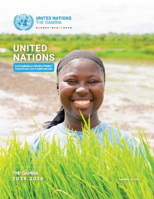 إطار تعاون (أو ما يعادله)