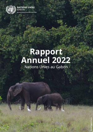 Годовые отчеты страновых команд