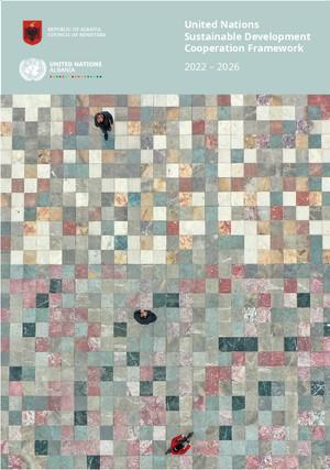 Cooperation Framework (or equivalent)