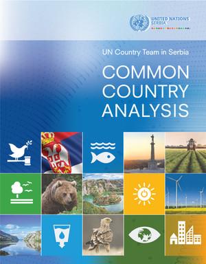 Análisis común sobre el país