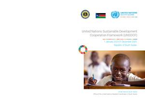 Cooperation Framework (or equivalent)