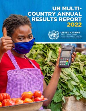 Годовые отчеты страновых команд