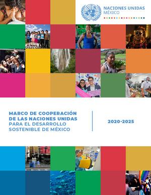 合作框架（或同等效力文件）