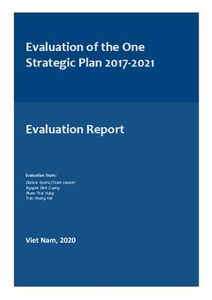 UNDAF / Cooperation Framework Evaluation Report