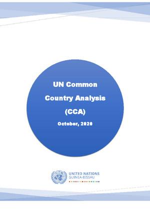 Общий страновой анализ