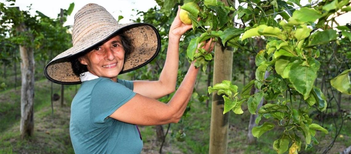 Woman working in the fields with a hat. 
